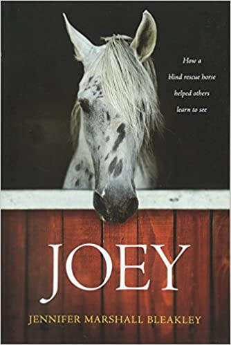 Rest and Recovery Podcast-Joey by Jennifer Marshall Blakely