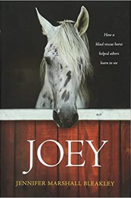 Rest and Recovery Podcast-Joey by Jennifer Marshall Blakely